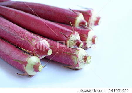 Freshly picked red okra Freshly picked red okra 141651691