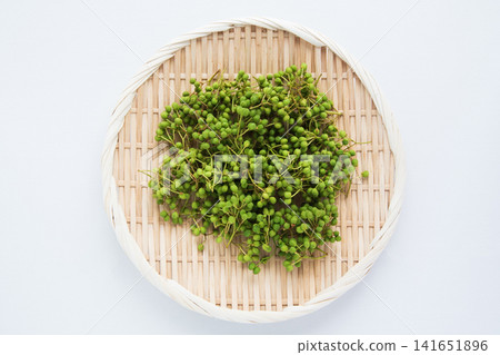 Sansho fruit Sansho fruit 141651896