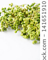 Sansho fruit 141651910