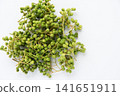 Sansho fruit 141651911
