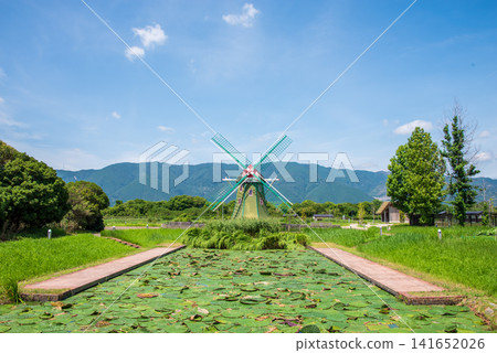 A pond with blooming giant water lilies and a windmill (Kiso Sansen Park Aqua World Suigo Park Center) A pond with blooming giant water lilies and a windmill (Kiso Sansen Park Aqua World Suigo Park Center) 141652026