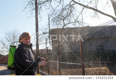 Woman spraying fruit trees with a garden pressure sprayer in the backyard, focusing on eco-friendly plant protection and gardening challenges 141652264