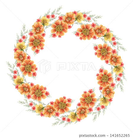 French marigold circle wreath watercolor illustration. Hand drawn Tagetes patula with copy space in vibrant botanical style. Floral colorful template for greeting card. Autumn invitation round design. 141652265