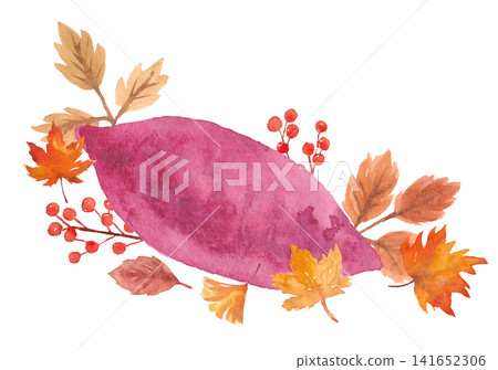 Watercolor sweet potato frame material Watercolor sweet potato frame material 141652306