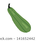 Green zucchini squash  141652442