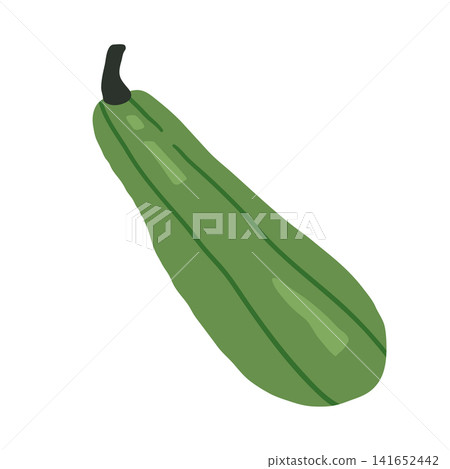 Green zucchini squash Green zucchini squash 141652442