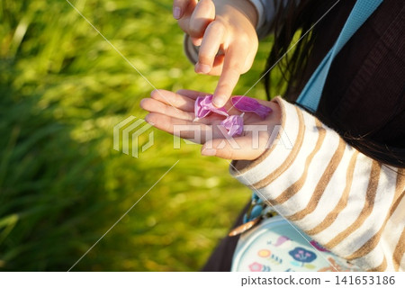 A child's hand holds a flower petal in the spring light. A child's hand holds a flower petal in the spring light. 141653186