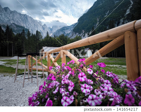 Planinski dom Tamar mountain hut in Planica Valley, Triglav National Park, Slovenia, view from Tamar house towards dramatic Julian Alps peaks with wooden fence and pink flowers Planinski dom Tamar mountain hut in Planica Valley, Triglav National Park, Slovenia, view from Tamar house towards dramatic Julian Alps peaks with wooden fence and pink flowers 141654217