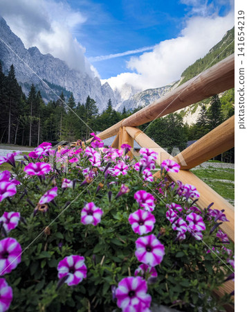 Planinski dom Tamar mountain hut in Planica Valley, Triglav National Park, Slovenia, view from Tamar house towards dramatic Julian Alps peaks with wooden fence and pink flowers Planinski dom Tamar mountain hut in Planica Valley, Triglav National Park, Slovenia, view from Tamar house towards dramatic Julian Alps peaks with wooden fence and pink flowers 141654219
