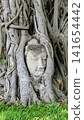 A mystical Buddha head embedded in the roots of a Bodhi tree at Wat Mahathat, a World Heritage site in Ayutthaya. 141654442