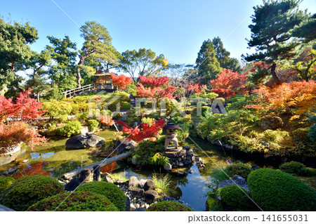 Autumn leaves of Yoshikien Autumn leaves of Yoshikien 141655031