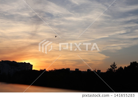 A bird in the colorful sky during sunset. A bird in the colorful sky during sunset. 141655283