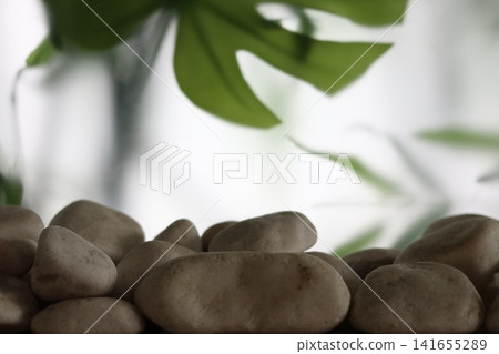 Leaves of indoor plants and pebbles. Leaves of indoor plants and pebbles. 141655289