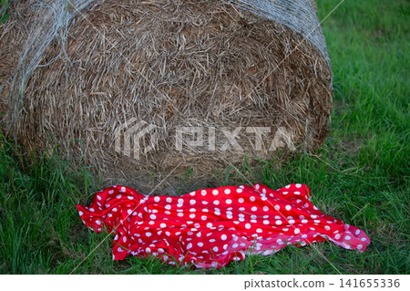 Pollet tablecloth fabric lie next to the hay bale in the sunny rural field in the near future Pollet tablecloth fabric lie next to the hay bale in the sunny rural field in the near future 141655336