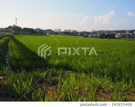 懷舊的風景 懷舊的風景 141655409