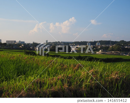懷舊的風景 懷舊的風景 141655412