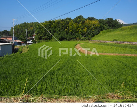 Nostalgic scenery Nostalgic scenery 141655434