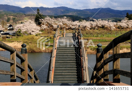櫻花盛開,三拱橋橫跨天際。 櫻花盛開,三拱橋橫跨天際。 141655731