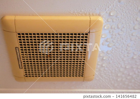 Moisture in the bathroom ceiling and the exhaust fan Moisture in the bathroom ceiling and the exhaust fan 141656482
