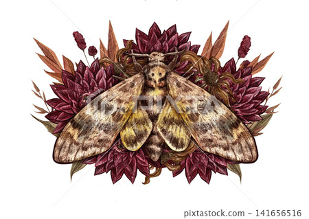 Watercolor botanical composition featuring a hawk moth and autumn flowers. Isolated clipart with a transparent background, ideal for greeting cards, invitations, branding, packaging, scrapbooking, Watercolor botanical composition featuring a hawk moth and autumn flowers. Isolated clipart with a transparent background, ideal for greeting cards, invitations, branding, packaging, scrapbooking, 141656516
