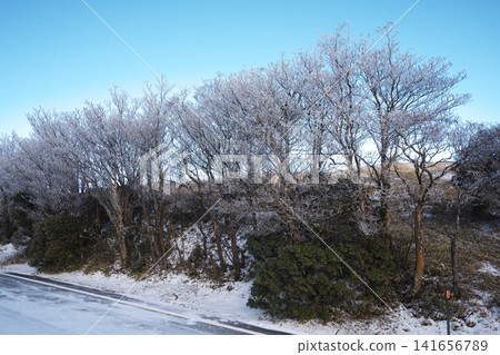 青山高原上的霜凍 青山高原上的霜凍 141656789