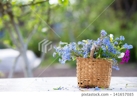 Basket holds fresh flowers on a table in a garden during a sunny day Basket holds fresh flowers on a table in a garden during a sunny day 141657085