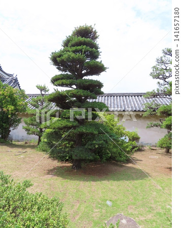 和歌山城堡城堡塔 和歌山城堡城堡塔 141657180