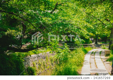 京都哲學之道:清新綠意 京都哲學之道:清新綠意 141657269
