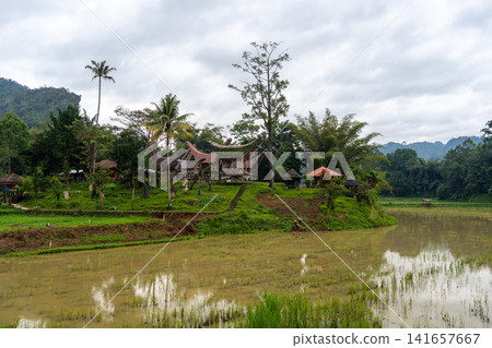 Traditional Toraja village with rice fields in Sulawesi, Indonesia Traditional Toraja village with rice fields in Sulawesi, Indonesia 141657667