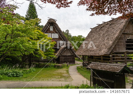 Traditional houses of Hida Minzoku Mura Folk Village in Takayama Traditional houses of Hida Minzoku Mura Folk Village in Takayama 141657671