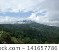 Panorama of a tropical mountain valley with jungle. 141657786