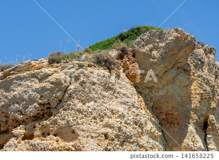 Seagulls perched on a rugged cliff face under a clear blue sky Seagulls perched on a rugged cliff face under a clear blue sky 141658225