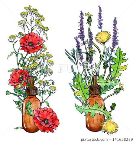 Two small bottles featuring two different plant combinations—poppy with immortelle and lavender with dandelion in a watercolor style Two small bottles featuring two different plant combinations—poppy with immortelle and lavender with dandelion in a watercolor style 141658259