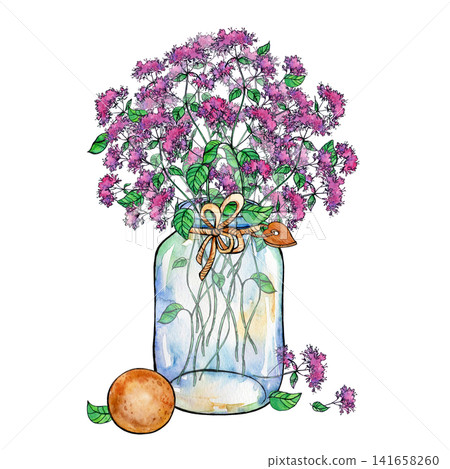 A beautiful bouquet of oregano in a clear jar decorated with a bow, illustrated in a watercolor sketch style A beautiful bouquet of oregano in a clear jar decorated with a bow, illustrated in a watercolor sketch style 141658260