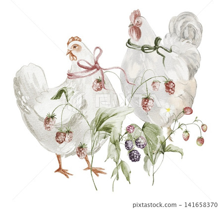 Chicken Berry Watercolor Clipart Illustration Chicken Berry Watercolor Clipart Illustration 141658370
