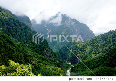 A misty mountain valley shrouded in deep green. A misty mountain valley shrouded in deep green. 141658475