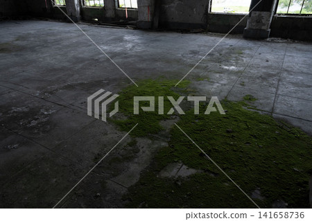 Vibrant green moss spreads across the tiled floor of the ruins of the former Hokutan Shimizu-zawa Thermal Power Plant in Yubari. Vibrant green moss spreads across the tiled floor of the ruins of the former Hokutan Shimizu-zawa Thermal Power Plant in Yubari. 141658736
