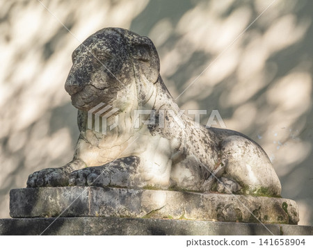 Ancient stone lion statue in a sunny park with shadows. Ancient stone lion statue in a sunny park with shadows. 141658904