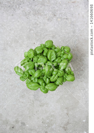 Vibrant Green Basil Crown Against a Textured Stone Backdrop Vibrant Green Basil Crown Against a Textured Stone Backdrop 141660698