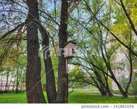 A birdhouse on a tree in a green park on a sunny summer day A birdhouse on a tree in a green park on a sunny summer day 141661059