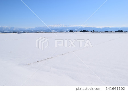 Snowy scenery in the Tohoku region Shonai, Yamagata Prefecture Snowy scenery in the Tohoku region Shonai, Yamagata Prefecture 141661102