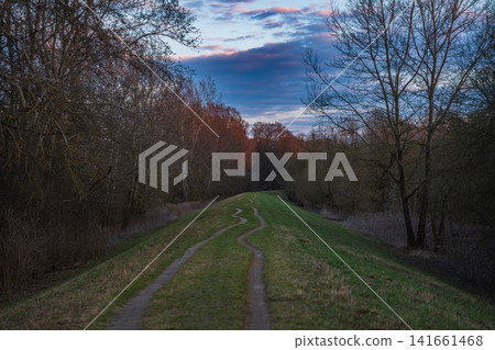 Leafless trees line a winding dirt path on a Vistula levee near Warsaw Leafless trees line a winding dirt path on a Vistula levee near Warsaw 141661468