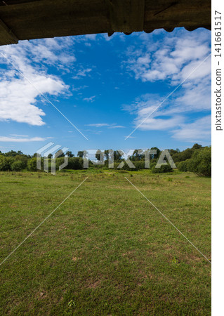 Grassy meadow and shrubs framed by rustic wooden eave under sky Grassy meadow and shrubs framed by rustic wooden eave under sky 141661517