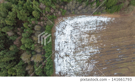 Aerial Belarus winter boundary of conifer forest and plowed field Aerial Belarus winter boundary of conifer forest and plowed field 141661793