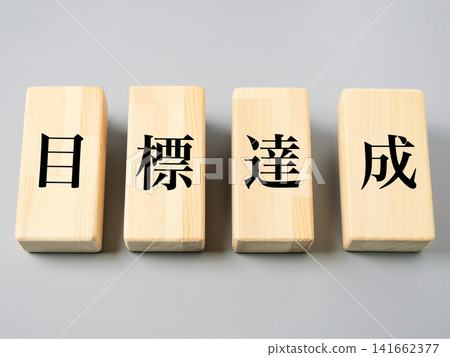 Image of achieving the goal Image of achieving the goal 141662377