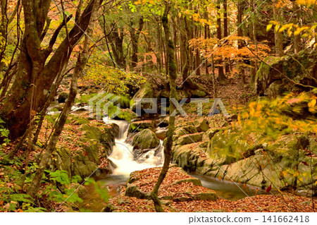 The beautiful scenery of Akashi Valley with its autumn foliage. The beautiful scenery of Akashi Valley with its autumn foliage. 141662418