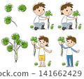 Wasabi picking 141662429