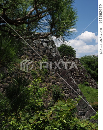 Nara, Yamato-Koriyama Castle Ruins: A series of stone walls seen through the green pine trees against the summer sky. Nara, Yamato-Koriyama Castle Ruins: A series of stone walls seen through the green pine trees against the summer sky. 141662679