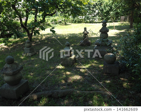 Silent summer groves and the weathered stone structures of the Yamato-Koriyama Castle ruins Silent summer groves and the weathered stone structures of the Yamato-Koriyama Castle ruins 141662689