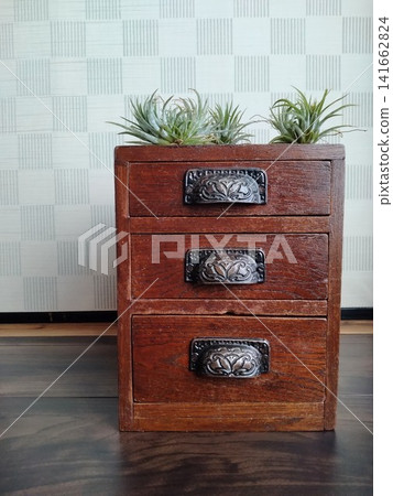 Air plants Air plants 141662824